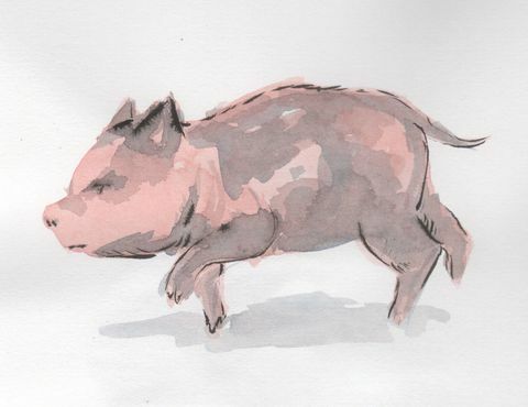 सुअर की पेंटिंग