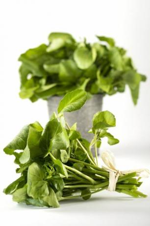 watercress