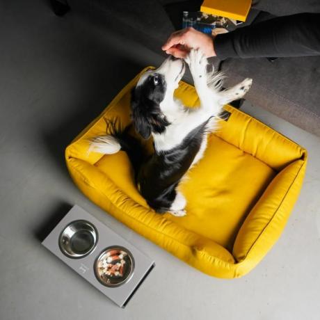 हटाने योग्य कवर के साथ पीला कुत्ते का बिस्तर चमकदार कुत्ते का घोंसला मस्टर्ड XS - कुत्ते के लिए Xxl आकार की चटाई, कुत्ते के मालिकों के लिए उपहार