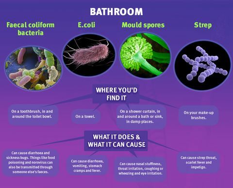 बाथरूम रोगाणु - गद्दे ऑनलाइन