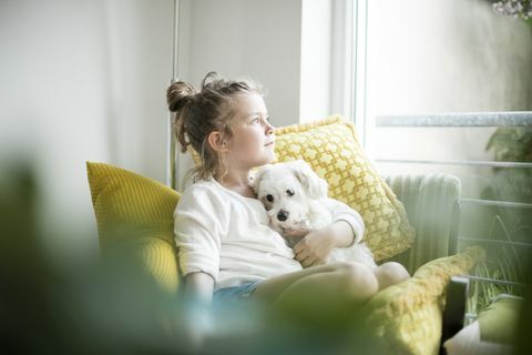 छोटी बच्ची घर पर आरामकुर्सी पर बैठी अपने कुत्ते के साथ गुफ्तगू करती है