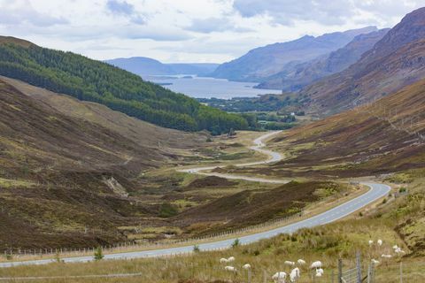 यूनाइटेड किंगडम, स्कॉटलैंड, Cairngorms नेशनल पार्क, Cairngorm पर्वत, पर्वतीय क्षेत्रों में शरद ऋतु में मैदान के एक सादे नयनाभिराम दृश्य