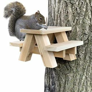 गिलहरी पिकनिक टेबल फीडर 