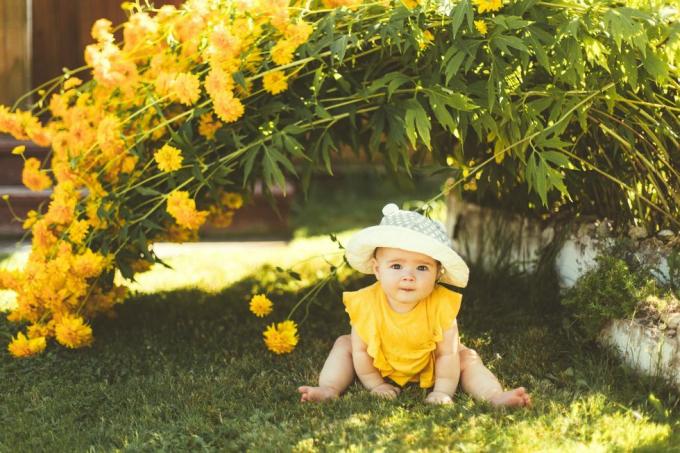 सन हैट पहने एक बच्ची बगीचे में फूलों की एक बड़ी पीली झाड़ी के नीचे बैठी है
