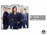 कानून और व्यवस्था: SVU सीजन 20