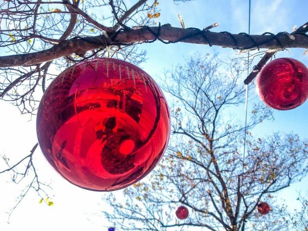 बड़े आउटडोर क्रिसमस आभूषण आकाश के सामने नंगे पेड़ों पर लटके हुए हैं