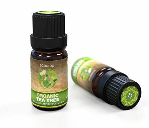 चाय के पेड़ का आवश्यक तेल