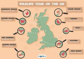 वन्य जीवन नक्शा ब्रिटेन